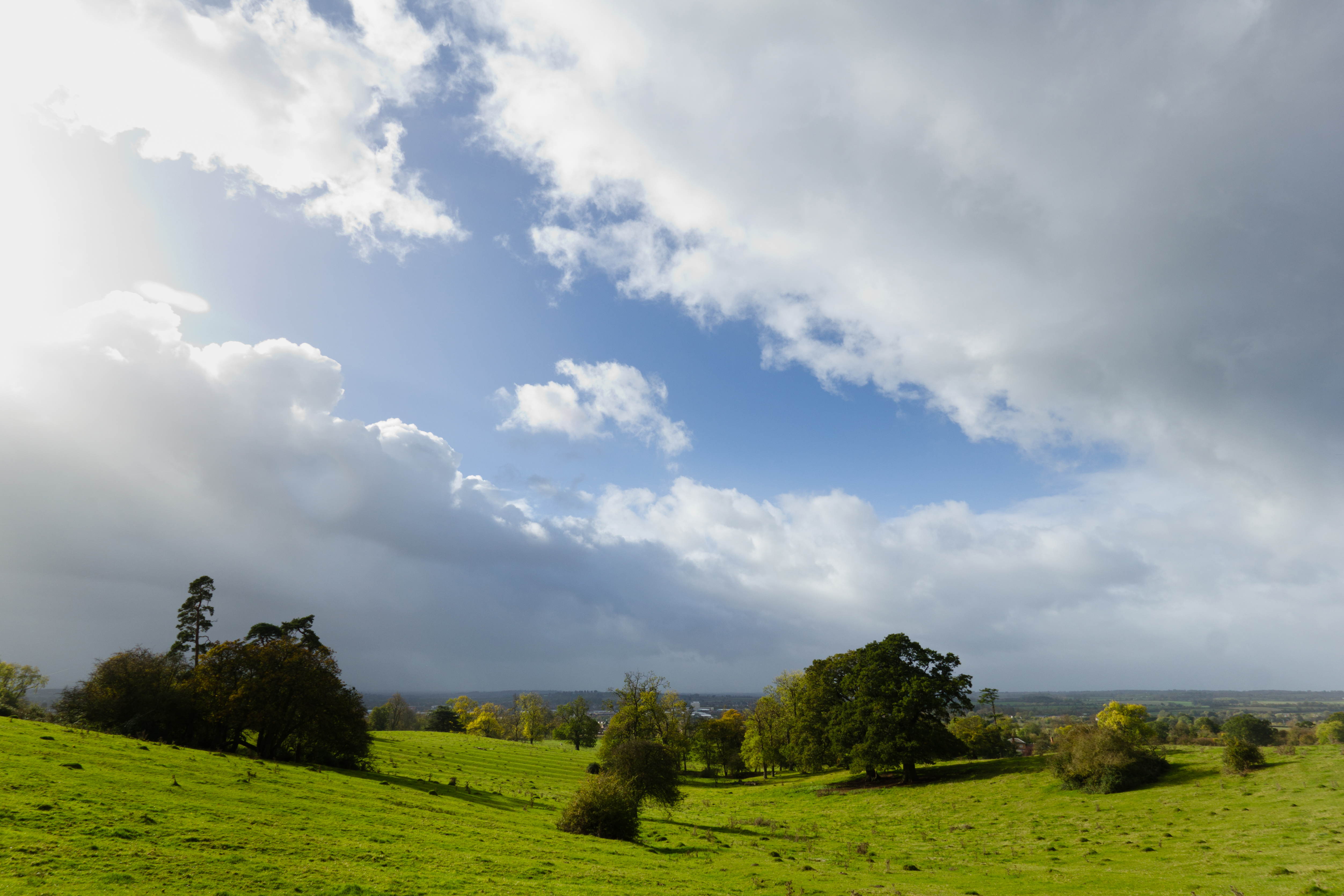 Warwickshire Wildlife Trust (@WKWT) / X