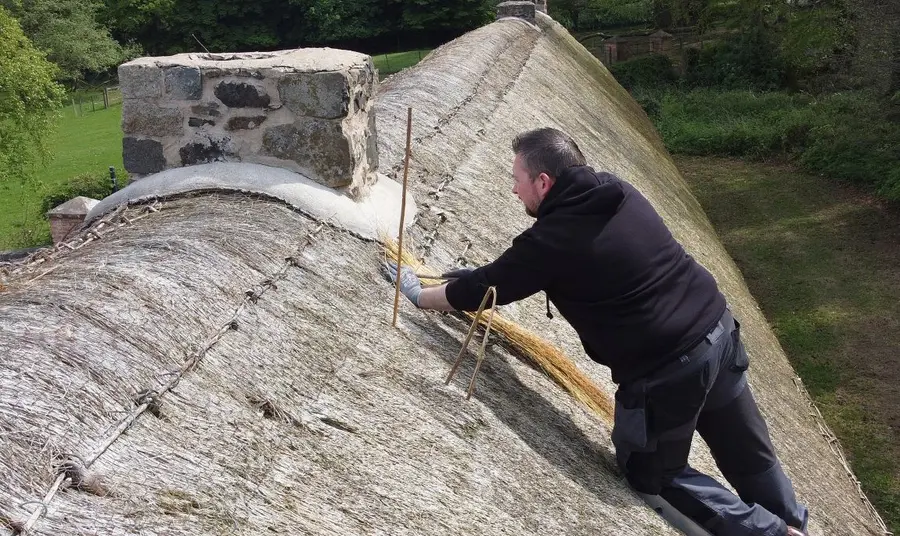 A Future for Thatch will open up pathways for under-threat skills to shared and protected. A thatcher at work up a ladder on a thatched roof, applying new materials to the surface.