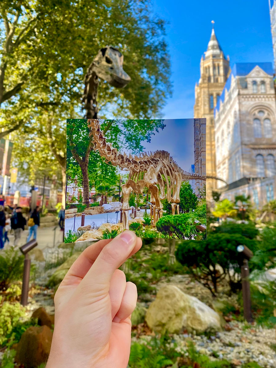 A hand holding a photograph of a model dinosaur skeleton in a garden, in front of that same skeleton in the garden outside an ornate building