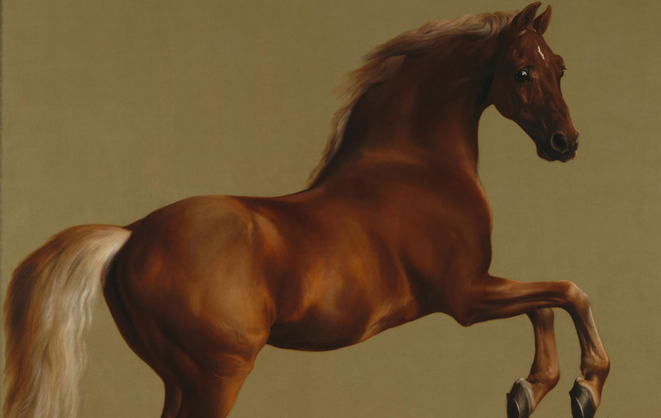 A painting of a chestnut horse on an olive green background. The horse has its front legs raised off the ground and its head looking towards the viewer.