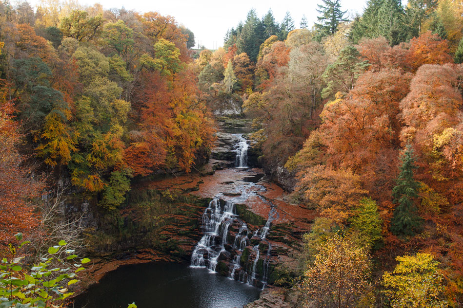 Trees with autumn leaves surrounding a small waterfall cascading into a river