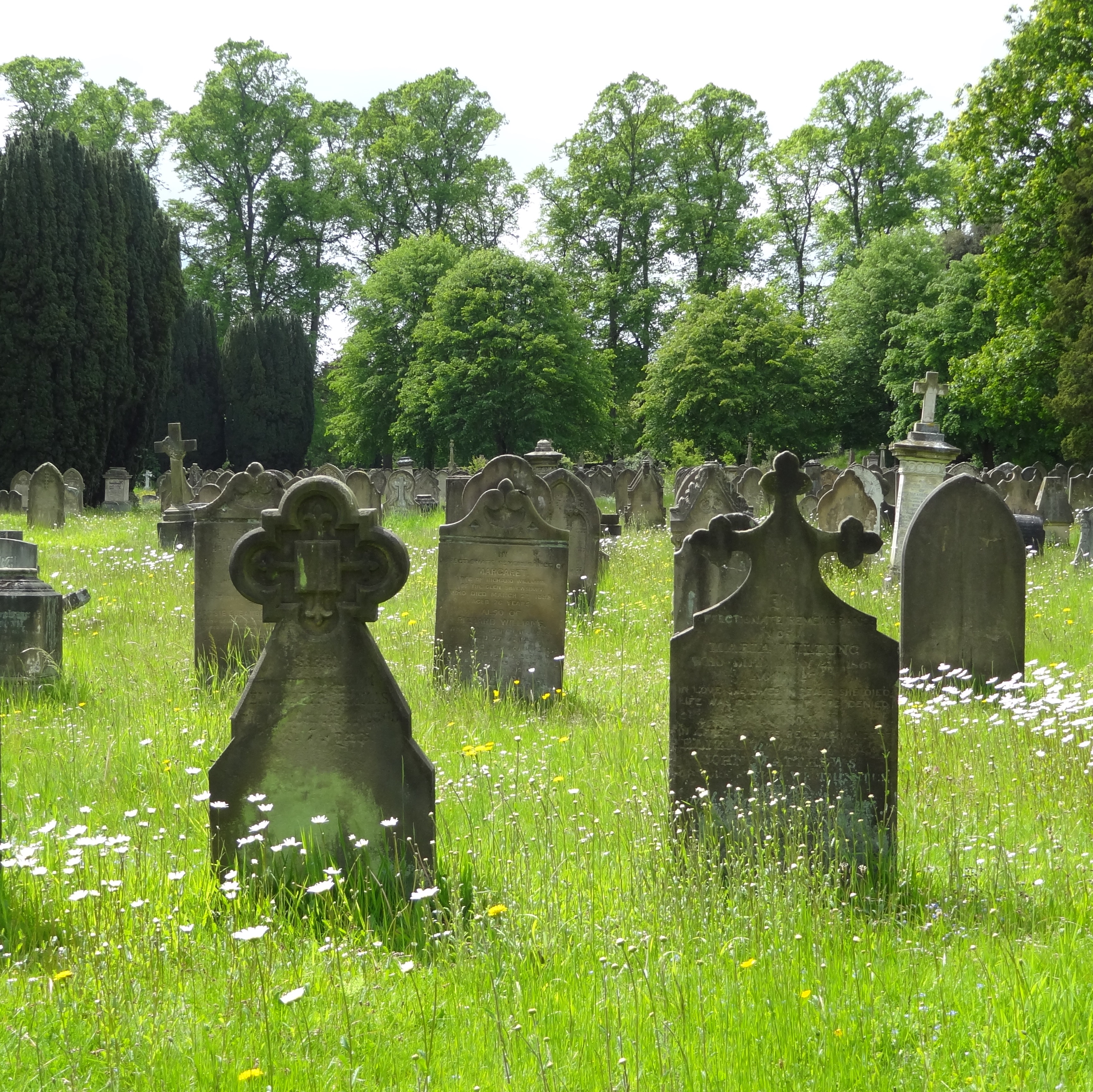 Место на кладбище. Оригинальные Кладбищенские проекты. Burial. Burial фото. Граундед кладбище муравьев.