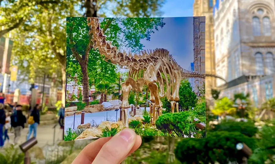 A hand holding a photograph of a model dinosaur skeleton in a garden, in front of that same skeleton in the garden outside an ornate building