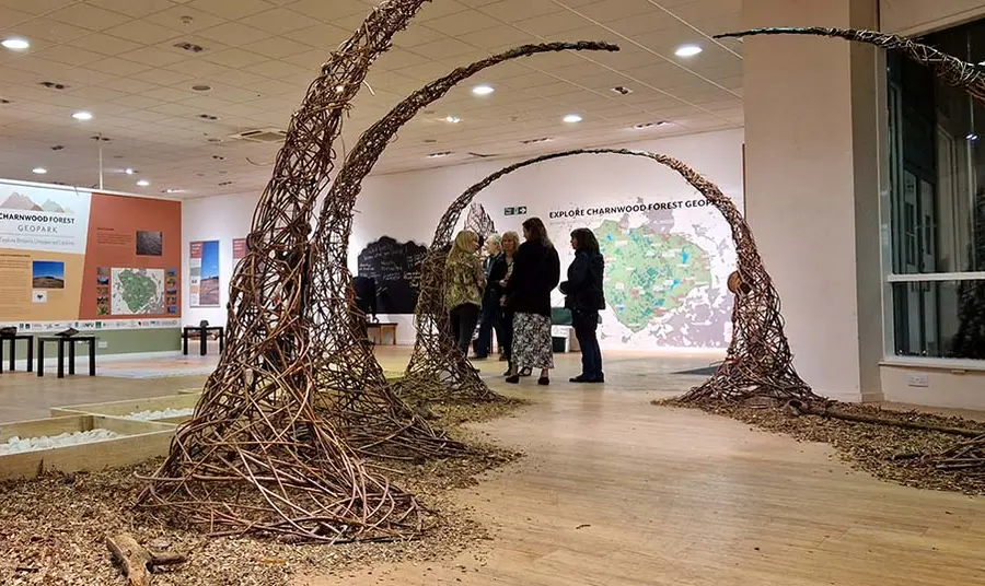 A display of woven branches to look like trees in a large modern room. In the background people look at an exhibition with information about Charnwood Forest.
