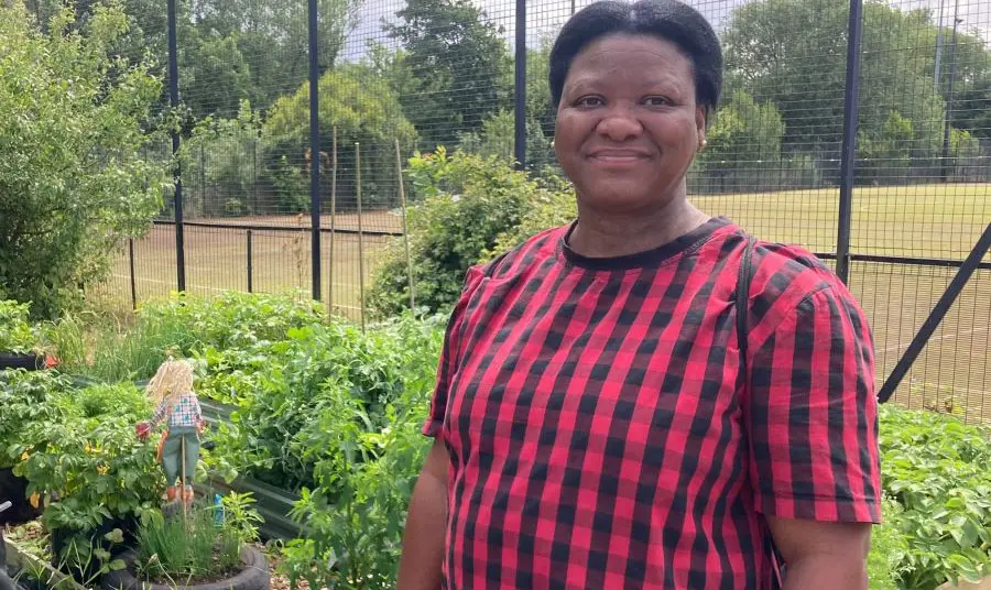 A person standing next to a community garden plot