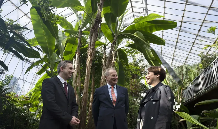 Three people standing underneath a big palm tree in a conservatory 