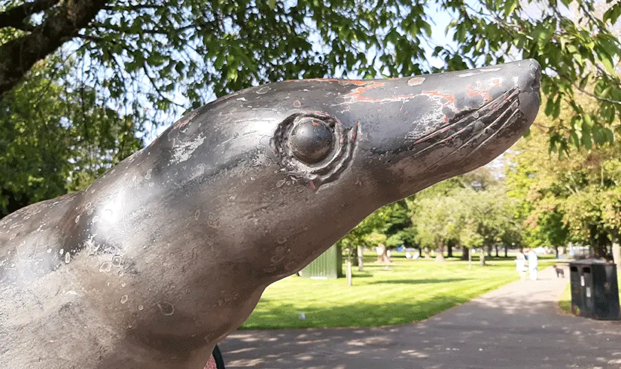 Close-up of the Billy the Seal statue