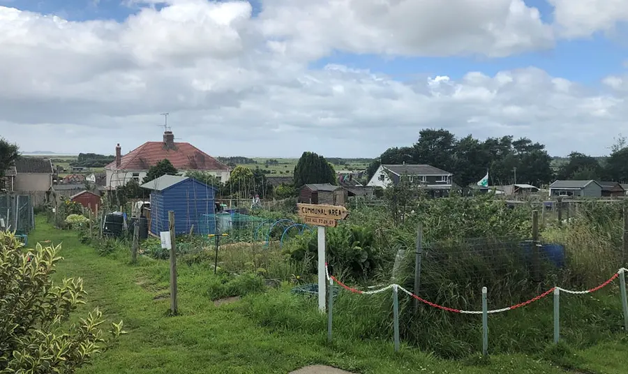 Community growing area with sheds, signpost, path and planting areas