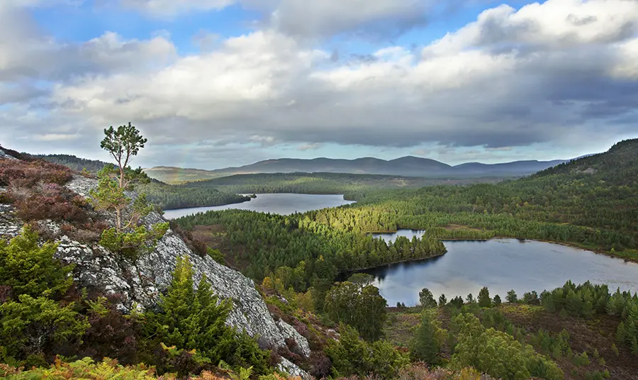 Park Cenedlaethol y Cairngorms