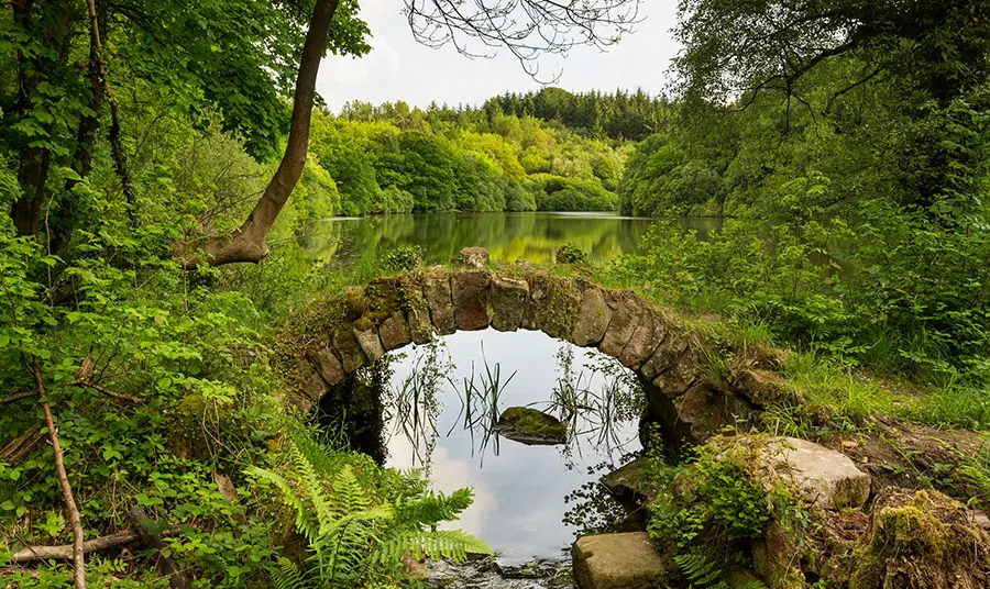 Eavestone Lake from the stone bridge