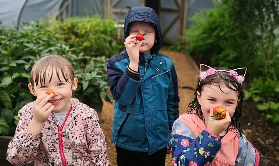 Three children hold tomatoes to their noses