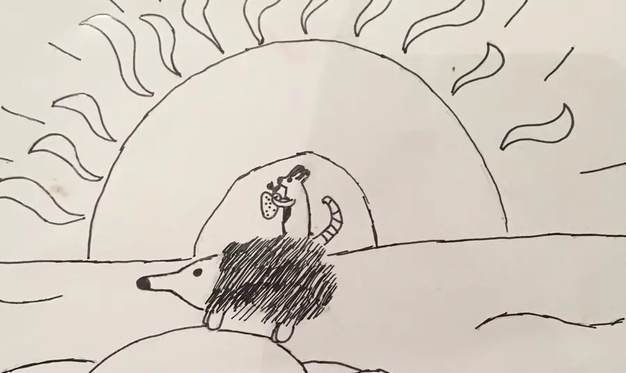 Hedgehog drawing