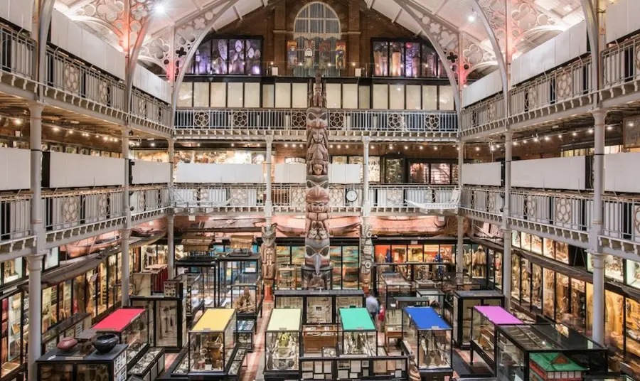 The inside of the PItt Rivers Museum, a large open indoor space with exhibition cases