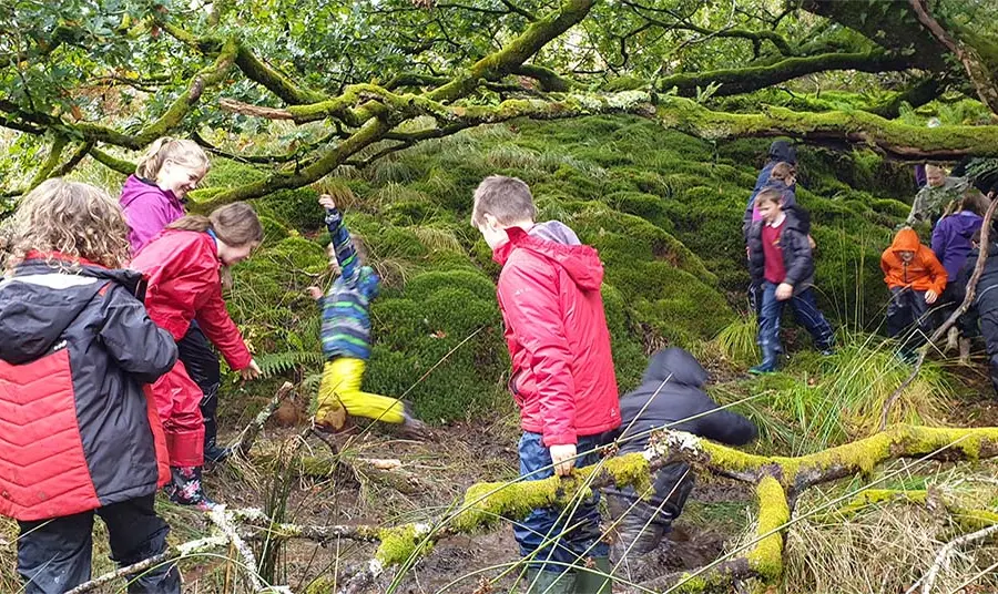 A group of children wearing wellies and coats explore a woodland