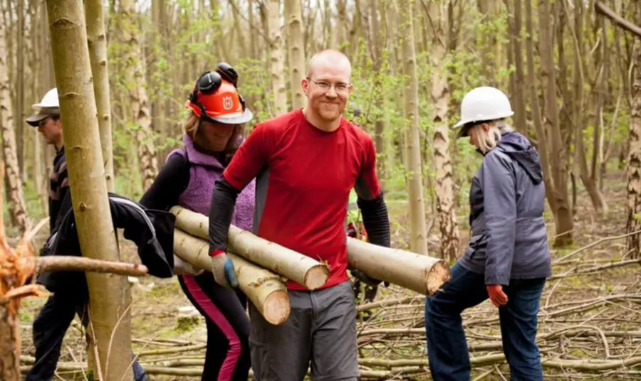 Two people carrying three cut tree trunks through a woodland.