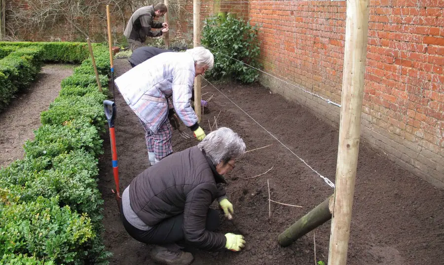 Four people tending to garden bed