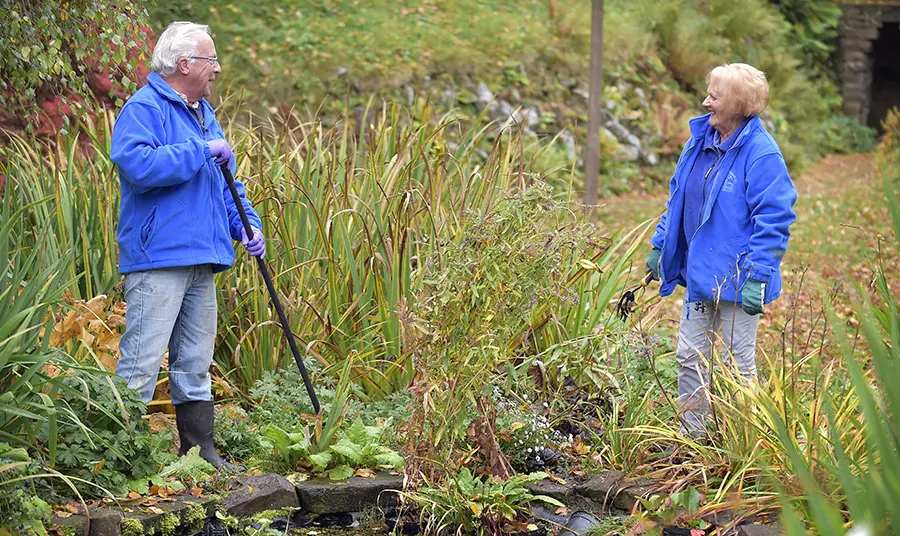 Volunteers in a park