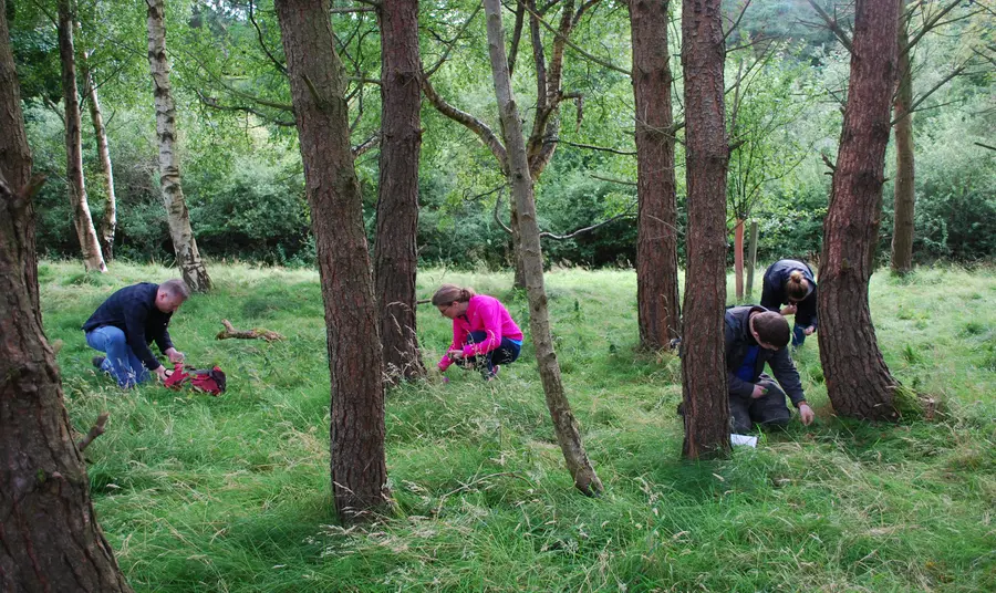 People foraging in a wood