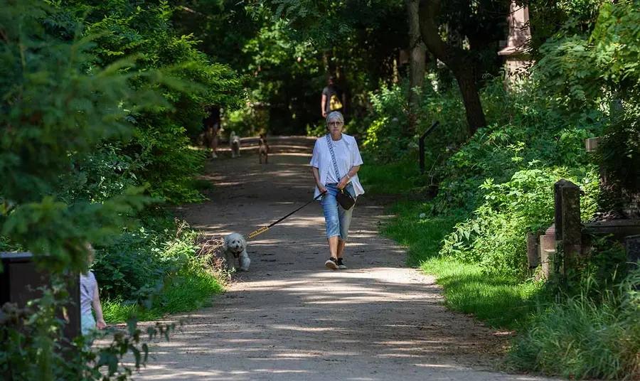 A person walking their dog on a path surrounded by greenery