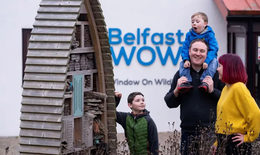 A family look at a bird nesting box display