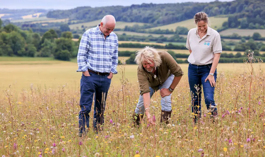 Three people standing in a field of wild flowers, one is bending down touching the flowers