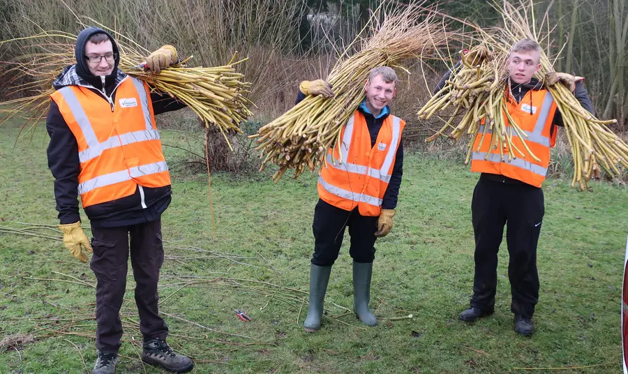 Three young men carrying willow