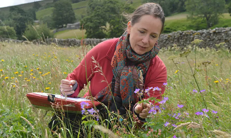 Dr Ruth Starr-Keddle carrying out a meadow survey in Upper Swaledale