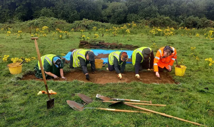 A group of people on their knees, digging in a trench in the grass