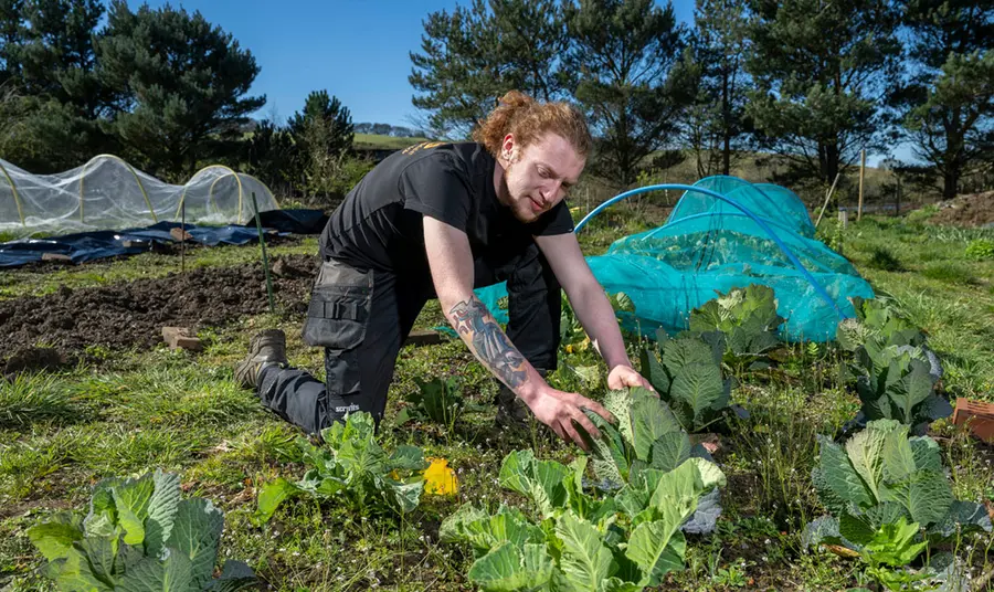 A man kneeling in a garden, tending to plants