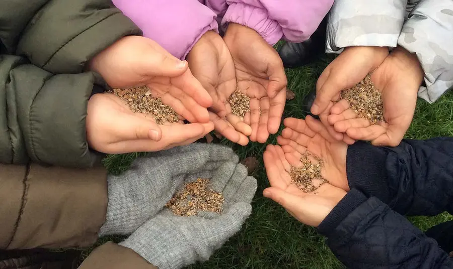 Hands holding seeds