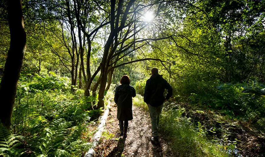 People walking in a park