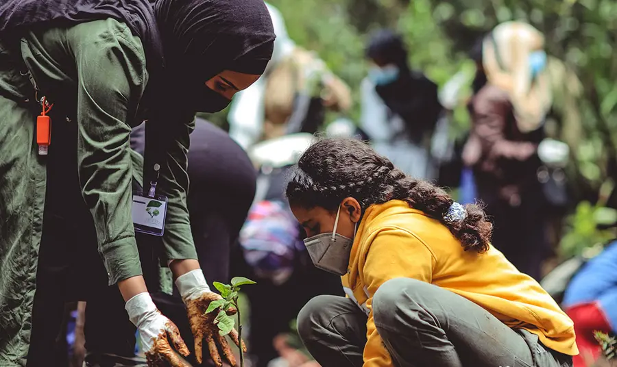 Two people planting a tree