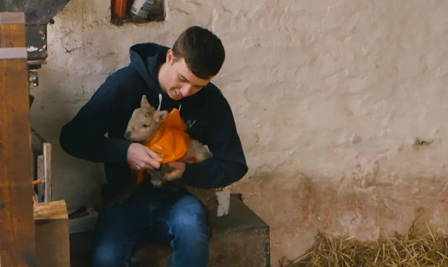 Boy holding a lamb