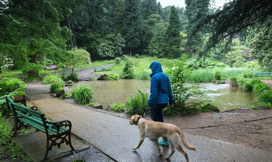 A dog walker enjoying Parc Cefn Onn, Cardiff
