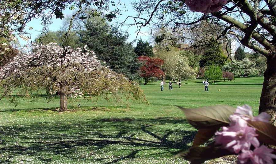 Bute Park, Cardiff