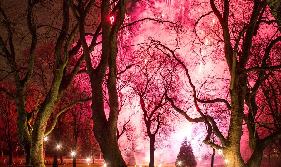 Tân gwyllt ym mharc Whitworth