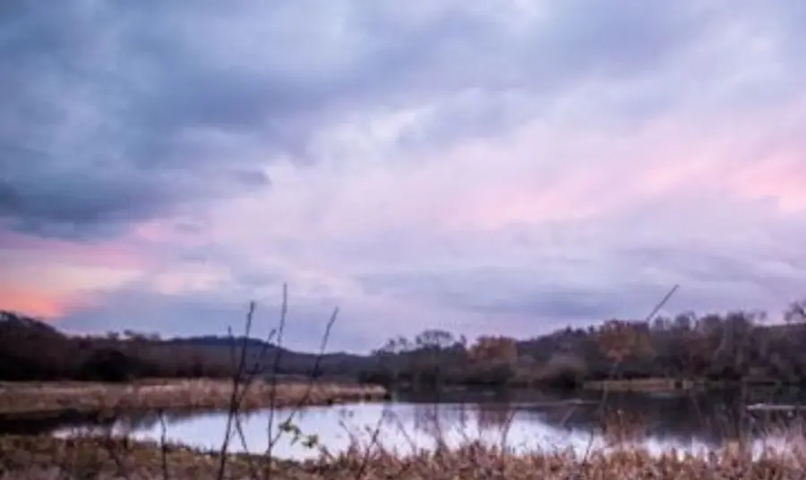 Denaby Ings Nature Reserve, Doncaster. Photo Timm Cleasby