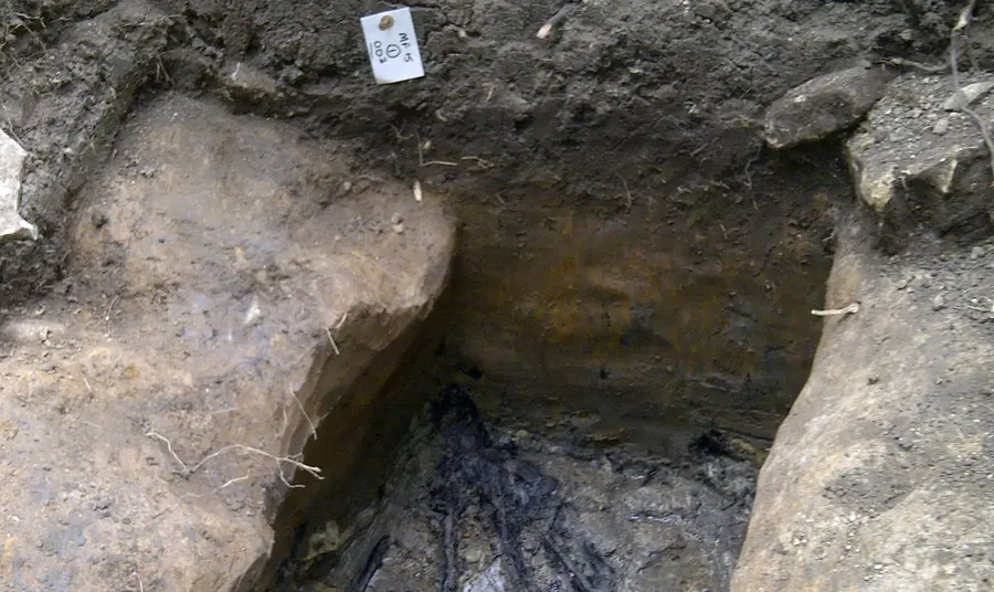 Carbonised remains of Ice Age Tree 8,000-10,000 BC discovered by volunteers at the Finding Fryston dig