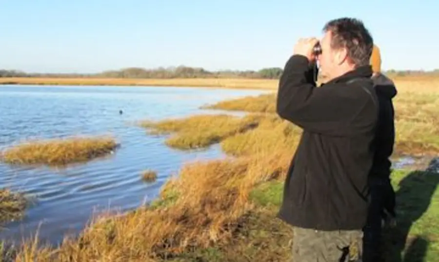 Birdwatching at Upton Heath