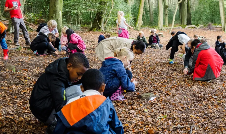 Pupils from St Thomas More Catholic Primary at Greno Woods in Sheffield