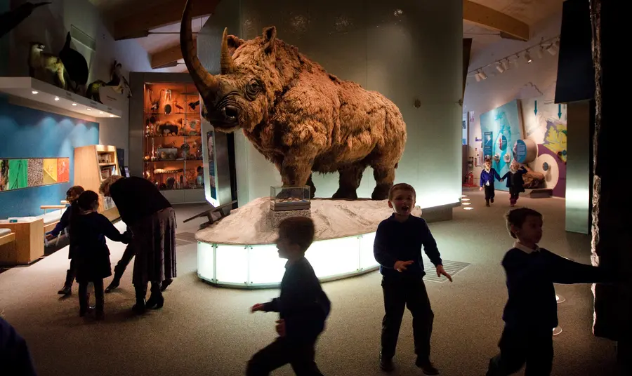 Woolly mammoth exhibit at Weston Park Museum, Sheffield