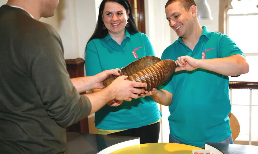 Volunteers showing handling objects at the Migration Museum