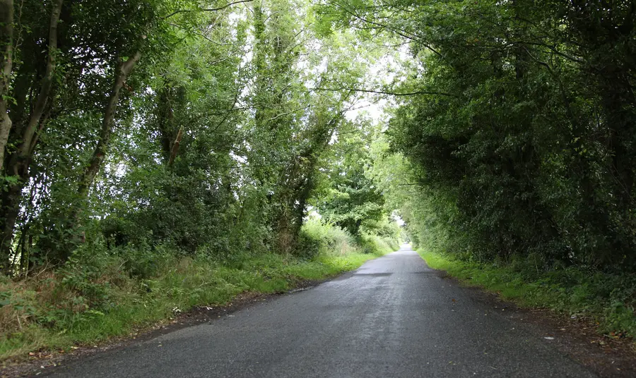 The evocative Lagans Road, from the poem 'Edward Thomas on the Lagans Road'