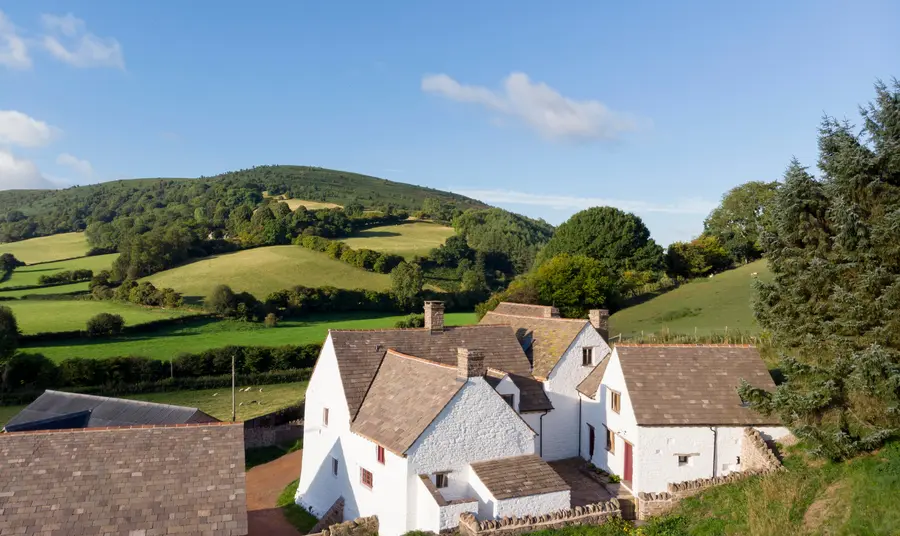 Llwyn Celyn