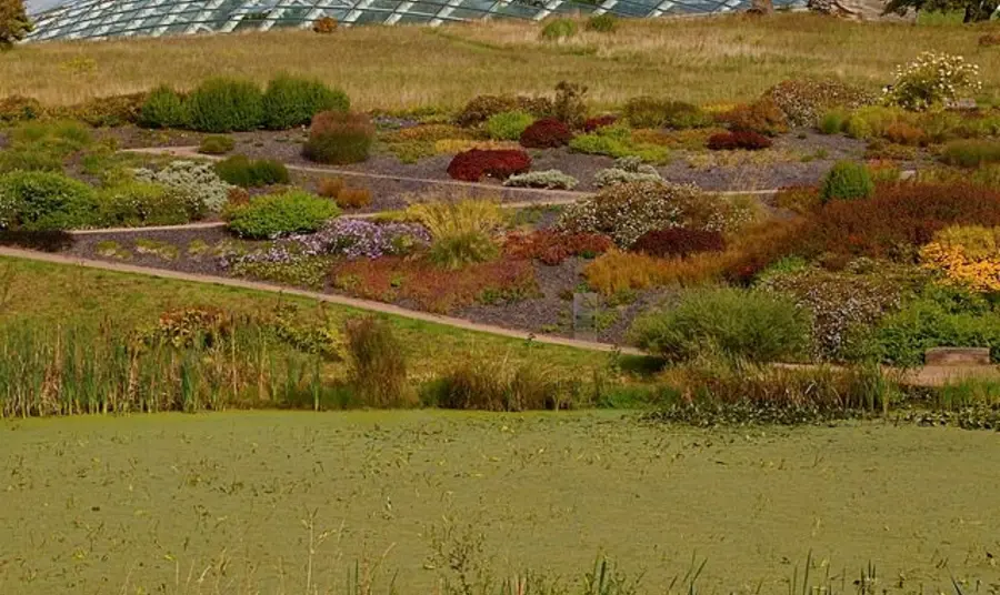 Slate beds at National Botanic Garden Wales