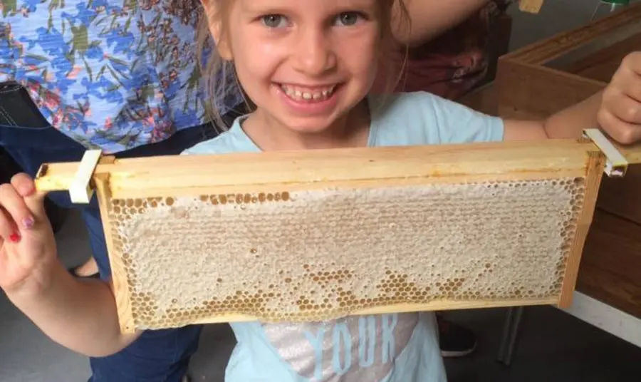 Little girl holds part of a bee hive