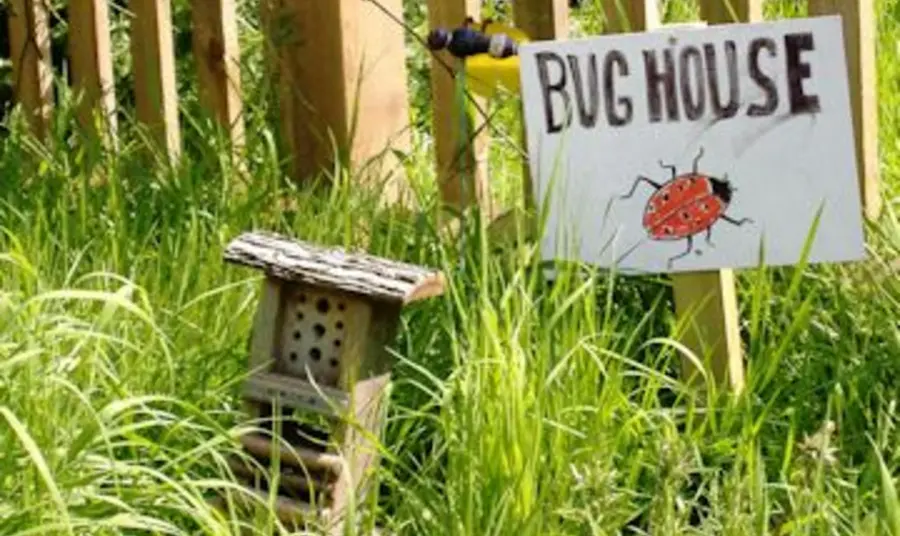 A bughouse, part of the Polli:Nation project