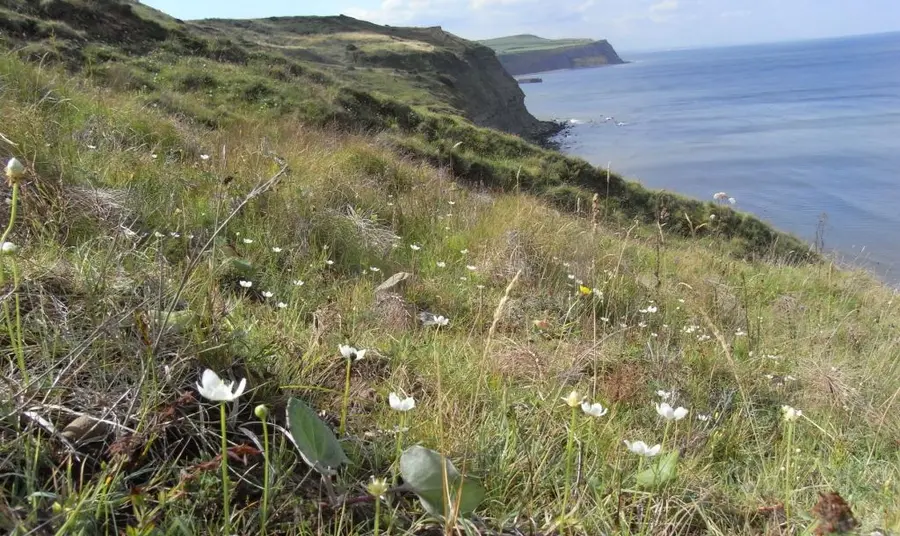 View of Cleveland coast