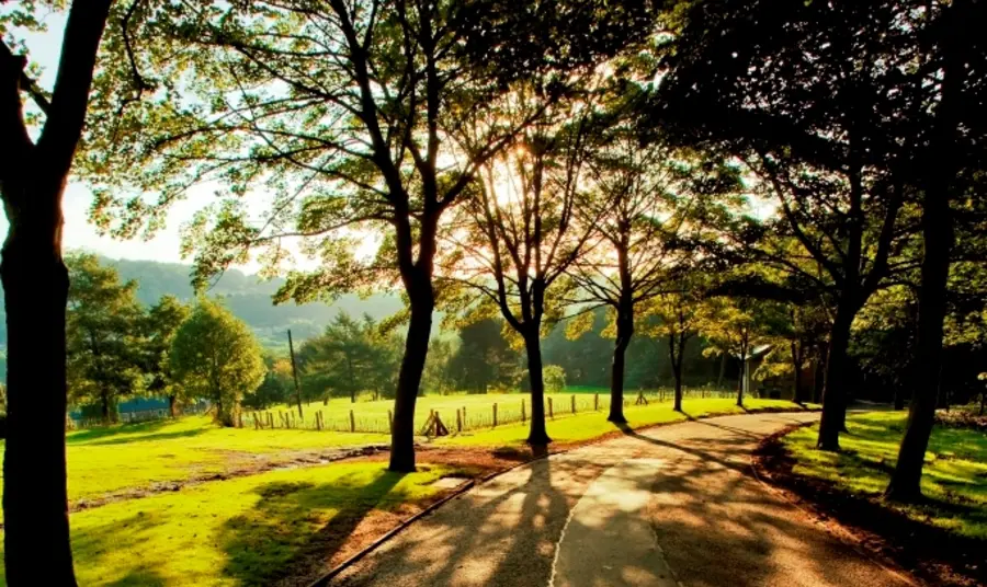 Shibden Park, Halifax