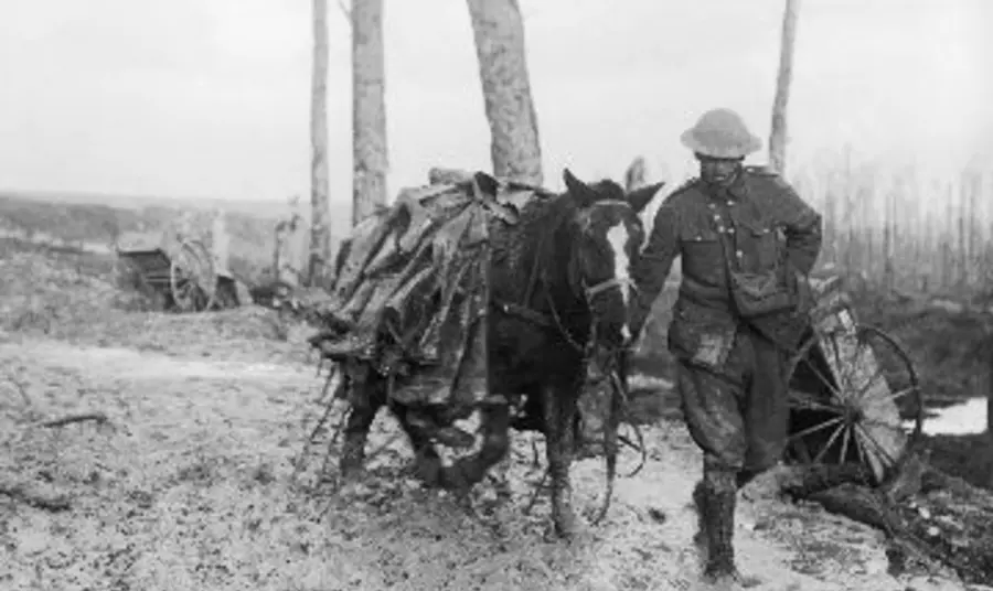 A pack horse loaded with rubber trench boots (waders) is led through the mud near Beaumont Hamel on the Somme battlefield